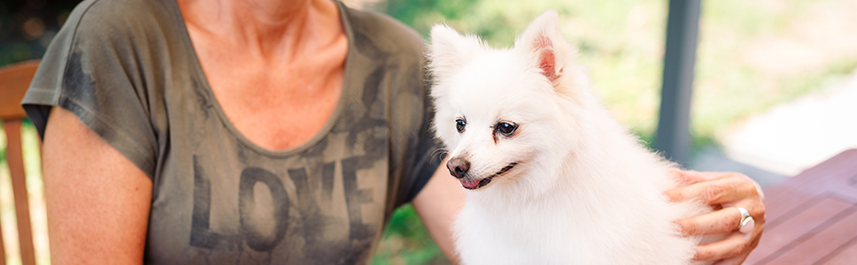 Zu Ihrer Information: